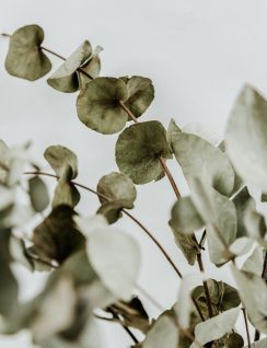 diana-polekhina-dxXIImOQwF4-unsplash-1.jpg